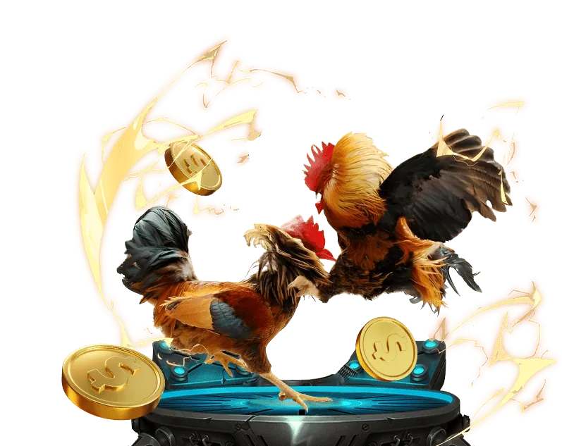 Gà chiến U888 No Hu